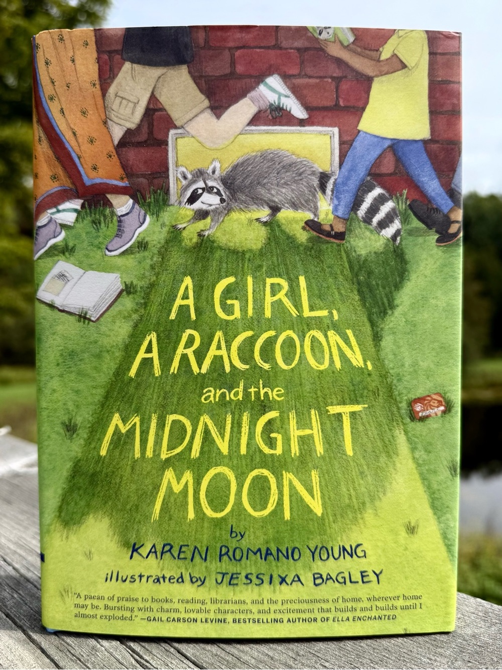 A Girl, A Raccoon, and the Midnight Moon by Karen Romano Young